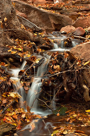 Grotto Spring cascades off of colorful debris. Zion National Park - November 6, 2005.