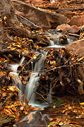 Grotto Spring cascades off of colorful debris - Zion National Park