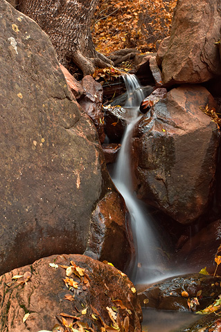 A cascade at The Grotto. Zion National Park - November 6, 2005.