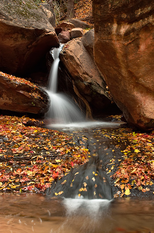 Grotto Spring cuts a path through the rock. Zion National Park - November 6, 2005.