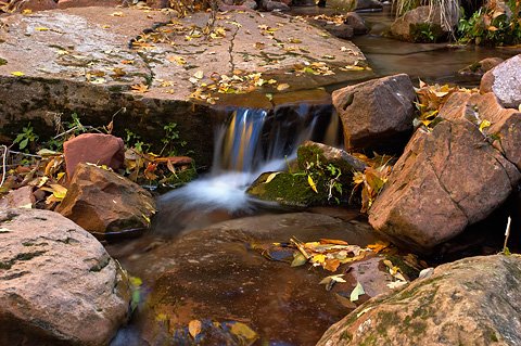 Grotto Springs. Zion National Park - October 27, 2006.