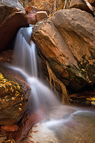 Grotto Springs waterfall. Zion National Park - October 27, 2006.