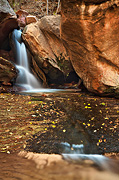 A waterfall at Grotto Springs - Zion National Park