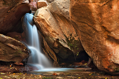 A small waterfall at The Grotto. Zion National Park - October 18, 2008.