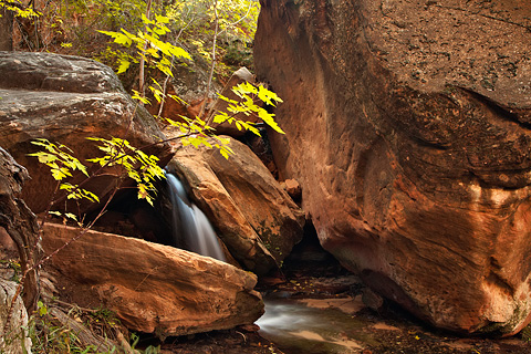 A massive boulder near the waterfall at Grotto Springs. Zion National Park - October 18, 2008.