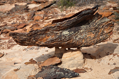 Balanced rock. Zion National Park - April 5, 2007.