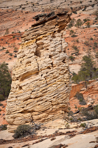 A hoodoo above Petroglyph Canyon. Zion National Park - April 5, 2007.