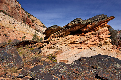 A hoodoo planter. Zion National Park - November 4, 2005.