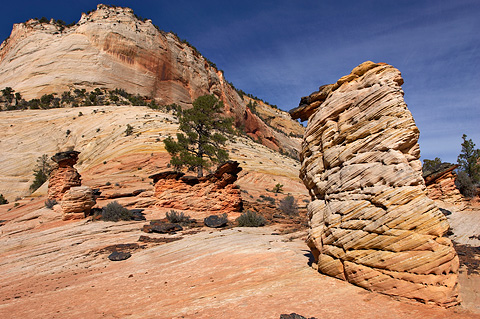 Hoodoo you love. Zion National Park - November 4, 2005.