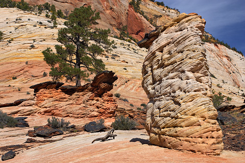 Submarine rock and the wall. Zion National Park - September 30, 2006.