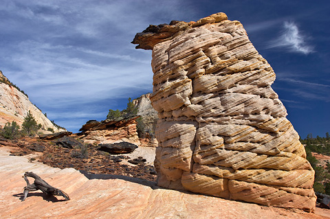 Submarine rock. Zion National Park - September 30, 2006.