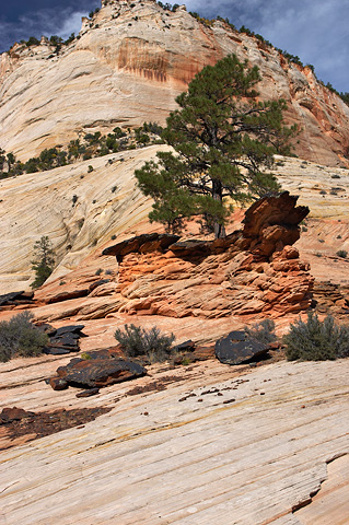 Wall of stone. Zion National Park - September 30, 2006.