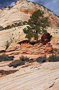 Wall of stone - Zion National Park