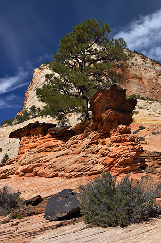 A natural wall. Zion National Park - September 30, 2006.