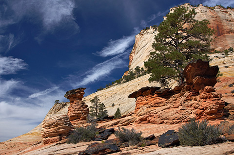 Hoodoos. Zion National Park - September 30, 2006.