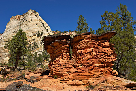 Red rock. Zion National Park - October 9, 2004.