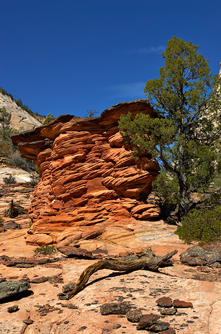 Layer upon layer. Zion National Park - October 9, 2004.