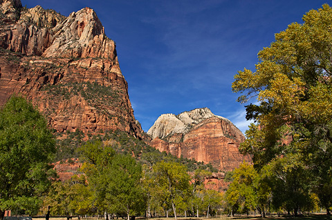 Lady Mountain and Castle Dome. Zion National Park - November 6, 2005.