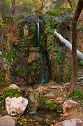 Menu Falls in Autumn - Zion National Park