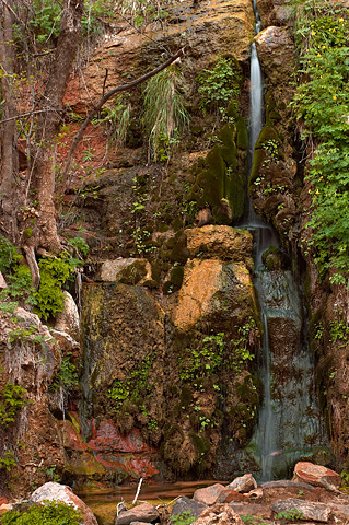 Menu Falls. Zion National Park - May 13, 2005.