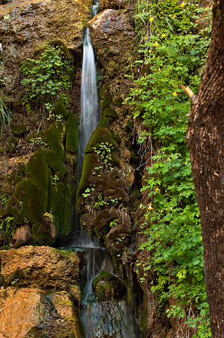A close-up of Menu Falls. Zion National Park - May 13, 2005.