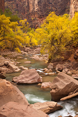 A riverside walk. Zion National Park - October 29, 2007.