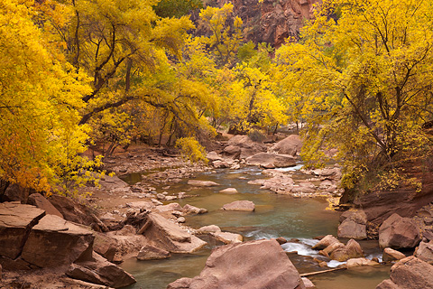 Autumn shrouds the Virgin River. Zion National Park - October 29, 2007.