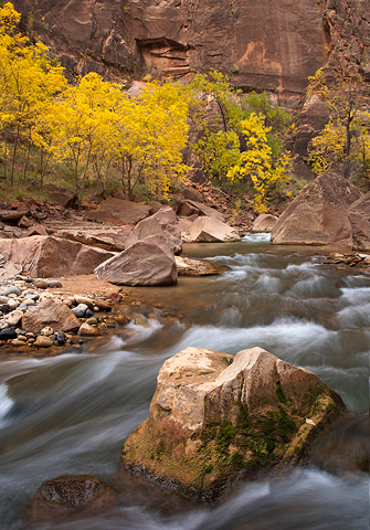 Water, rock, and time. Zion National Park - October 29, 2007.