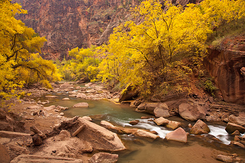 Cascades and color. Zion National Park - October 29, 2007.