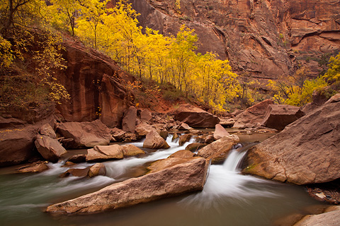 Color Country. Zion National Park - October 29, 2007.