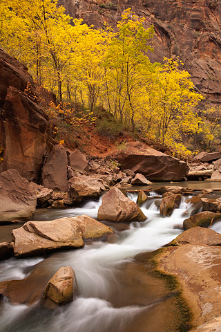 Rushing waters. Zion National Park - October 29, 2007.