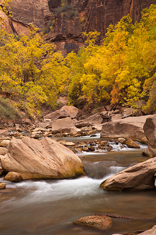 Cascades and Autumn color. Zion National Park - October 29, 2007.