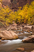 Cascades and Autumn color - Zion National Park