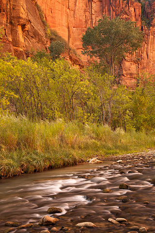 Orange cliffs and cascades. Zion National Park - October 16, 2008.