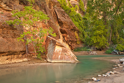 Orange and Emerald. Zion National Park - October 17, 2008.