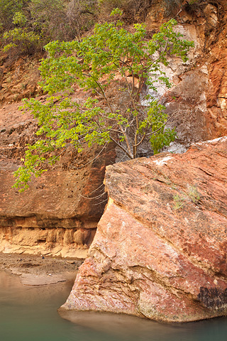 Bedrock blanket. Zion National Park - October 17, 2008.