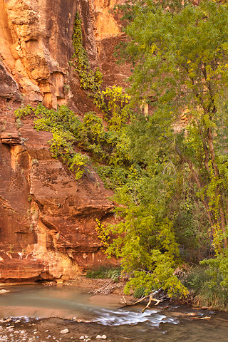 Rounding the bend. Zion National Park - October 17, 2008.