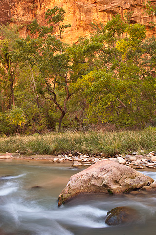 Tranquility. Zion National Park - October 17, 2008.