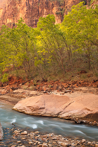 Autumn approaches. Zion National Park - October 17, 2008.