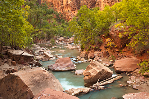 A sign of things to come. Zion National Park - October 17, 2008.