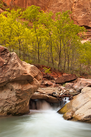 A logjam. Zion National Park - October 17, 2008.