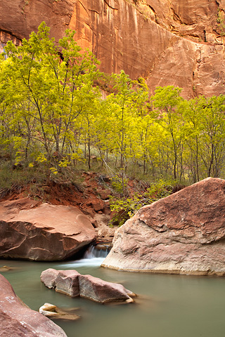 Soft canyon light. Zion National Park - October 17, 2008.