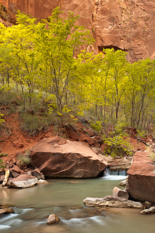 Clear and crisp. Zion National Park - October 17, 2008.