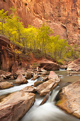 Water and rock. Zion National Park - October 17, 2008.