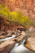 Water and rock - Zion National Park