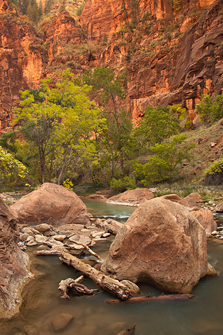 Shades of green. Zion National Park - October 18, 2008.