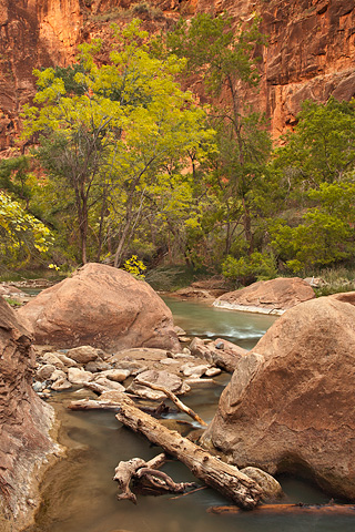 Flash flood remnants. Zion National Park - October 18, 2008.