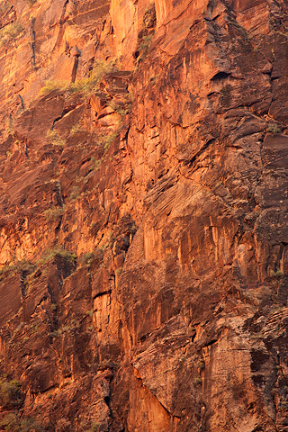 The last light of the day reflecting off the canyon walls. Zion National Park - October 18, 2008.