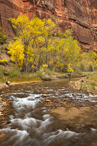 The veil of the Virgin River. Zion National Park - October 31, 2008.