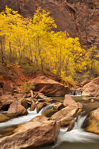 All things fall. Zion National Park - October 31, 2008.